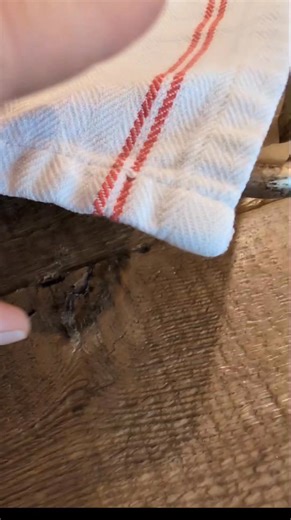 7.3K views · 127 reactions |  Sneak peek time! Our pillowy gnocchi meets slow-simmered short rib beef ragu… rich, tender, and everything Italian comfort food should be. Now the real question — Should this beauty be a weekly special or make a guest appearance now and then? 樂 Tell us what you think below ⬇️ #PomodoroMT #GreatFallsEats #FreshPasta #GnocchiLove #EatSpaghettiBeLessUpsetti | Pomodoro | Facebook