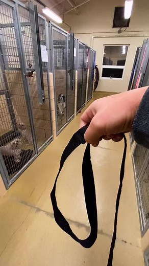 Sally you deserve this! Enjoy your new life sweetie!! | Alice Love Dogs