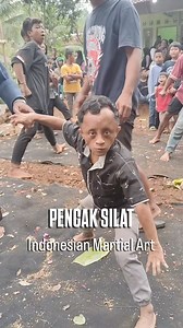 16K views · 450 reactions |  Pencak Silat Pencak Silat is a...