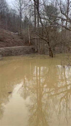 218K views · 1.1K reactions | Floyd County Sheriff's Department, Prestonsburg KY on Reels | Facebook