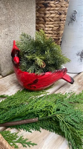 The Magic of the Cardinal ✨ ✨There’s a reason cardinals feel extra special this time of year. Many believe that when a cardinal appears, it’s a gentle visit from a loved one—bringing comfort, hope, and a reminder that we’re never truly apart. ❤️ Stop in and let the magic of the season—and the cardinal—find you. ✨ #berrysblooms #shopsmall #smallbusinesssaturday #cardinals #cutflowerfarm #escapethecrowds | Berry's Blooms