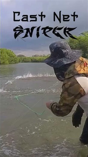 The swamp fights back