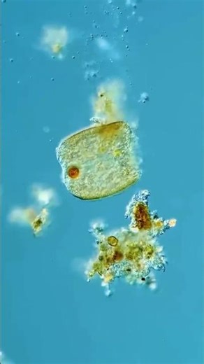 Little guy is in a better place #learn #science #religion #beautiful