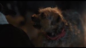 Beware: This is not your typical dog movie. See Bug (Jamie Foxx), Reggie (Will Ferrell), and the gang's (mis)adventures in #StraysMovie, now showing at SM Cinema! BUY YOUR TICKETS NOW! 🔗: https://bit.ly/StraysAtSMCinema 📱: SM Cinema app 🎟: SM Cinema ticket booths #Strays #StraysAtSMCinema #SMCinema | SM Cinema