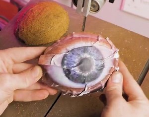 1.6M views · 2.8K reactions | The Coco Case! Crafting Mystery from Nature’s Shell! | 5-Minute Crafts | Facebook