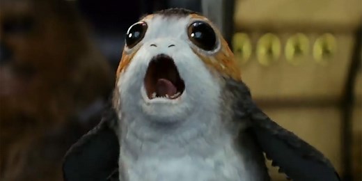 Everything we know about 'porgs' — the penguin-like creatures from 'Star Wars: The Last Jedi'