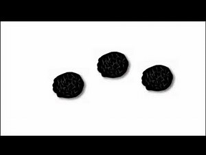 Remastered Elephant Scene From Baby Dolittle - World Animals 2001