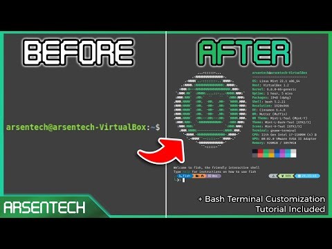 Make Your Linux Mint Terminal Look Modern! (Fish + Oh My Posh + Bash)