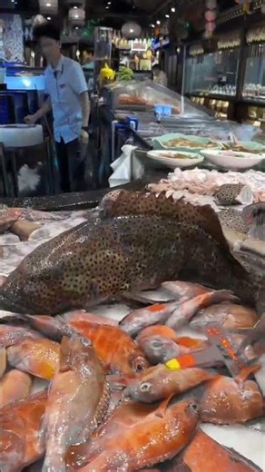 Massive Seafood Market Tour | Giant Fresh Fish & Exotic Sea Creatures | Amazing Fish Market 2026