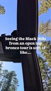 40K views · 603 reactions | Black Hills on Reels | Facebook