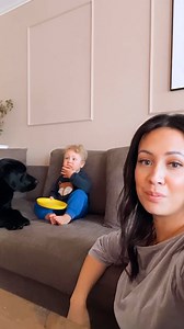 279K views · 3.8K reactions | Lab teaches his baby brother how to bark at the neighbors 來 (: @elvisbatzthelab) | The Dodo | Facebook