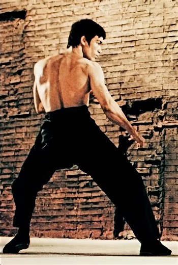 Epic Bruce Lee Fight Scenes Compilation