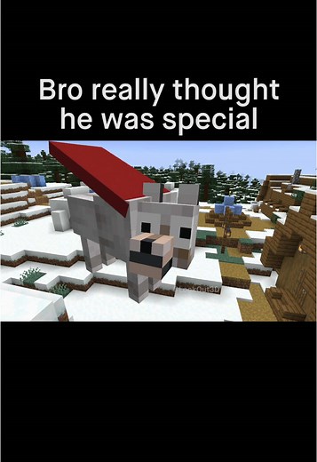 Minecraft Building Ideas and Funny Moments