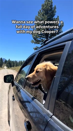 Take 50% OFF your first trial Personalized Plan for Your Pup! :🥩 Whole food ingredients ✨ Costs 40% less than frozen fresh 🌱 Fresh without the fridge 👩‍⚕️ Vet-developed & nutritionally complete 📦 Delivered to your door 🐾 Loved by picky eaters (and their humans) Made in the USA. Crafted in Allentown, PA. -- UnKibble gives your dog the nutrition of fresh food—without the fridge, prep, or price tag. No thawing, no scooping, no weird ingredients. Just real food, perfectly portioned, and ready w