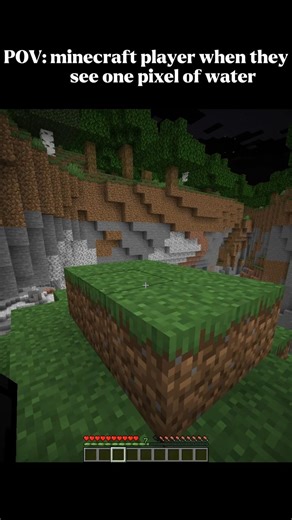 Mc player after seeing water... 💀🤣 #tweening #minecraft