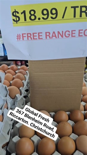 🥚 Fresh Arrival at Global Fresh! 🥚 We’re fully stocked up with Free Range Eggs (Size 7) 30 eggs per tray for just $18.99! 😍 Perfect for your breakfast, baking, or everyday meals. Come grab yours before they’re gone! 📍 Global Fresh – 367 Blenheim Road,Riccarton. | Global Fresh