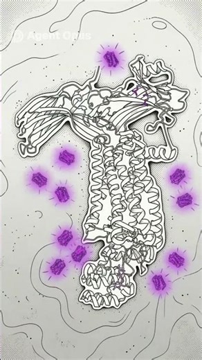 HOW WE SEE IN THE DARK - SHORT EXPLAINER VIDEO #HOWWESEEINTHEDARK #EYESIGHT #EYECARE