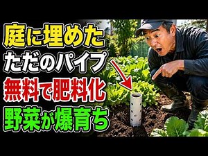 【無料肥料】庭に埋めた1本のパイプで野菜が爆発的に育つ秘密 | 家庭菜園 | 土づくり | 野菜作り | ガーデニング | 節約農法