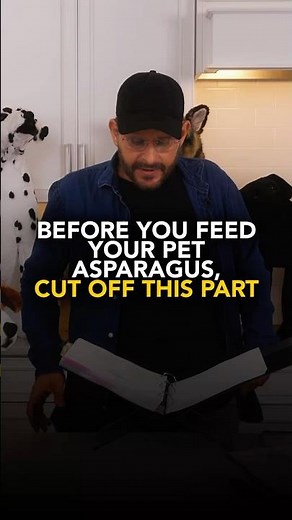 Before You Feed Your Pet Asparagus, Cut Off This Part