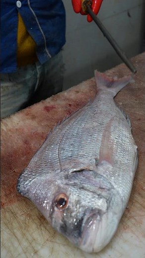 How to Cut Fish Without Wasting Meat