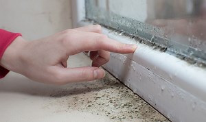 Cleaning expert shares safest method to clean black mould off your windows