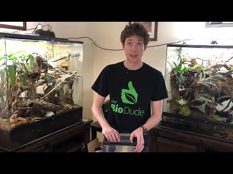 Terra Aranea Bioactive Tarantula's and Inverts Terraria by the Bio Dude. How to setup!