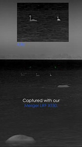 1.2K views · 1K reactions | After testing the Merger LRF XT50, Swedish hunter Night Vision Viking was convinced: these binoculars take the range to a new level.  A NEW premium HD 1280x1024 @ 12 µm thermal sensor and precise laser range finding up to 1500 m.  A wide field of view of 17.5 °.  Digital image stabilization. It doesn't matter how far the target is – Merger LRF XT50 is built to handle it. Ready to upgrade? #Pulsarvision | Pulsar | Facebook