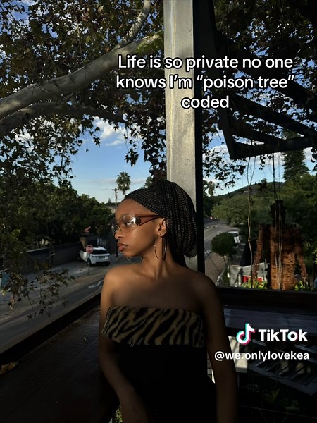 Understanding the 'Poison Tree' Coding Concept