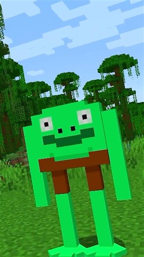 cuidado com o senhor sapo