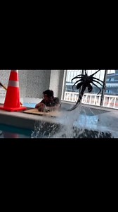 @wetaworkshop practical swimming facehuggers in Alien Romulus ❤️ | Luis Nostromo