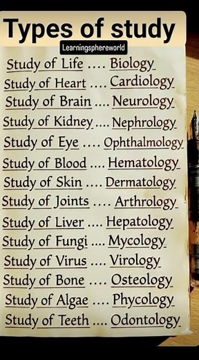 Types of Study 📚 | Effective Ways to Learn Better