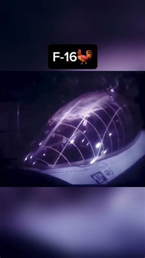 How Fighter Jets Test Bird Strike