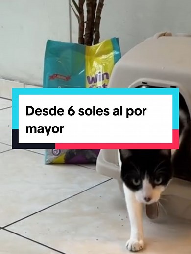 Arena para gato WinCat: Calidad y Variedad