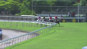 48K views · 1.2K reactions | Mari Tout mari Gulshan Rai Jooorawon. The GATEKEEPER. | Mauritius Turf Passionates | Facebook