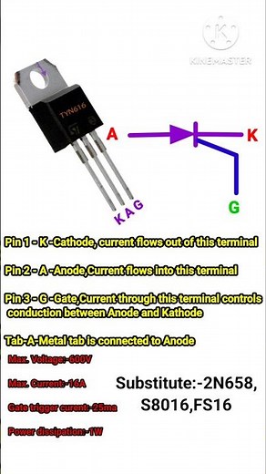 TYN-616 SCR Datasheet & Pinouts #electronic #basicelectronics #circuit
