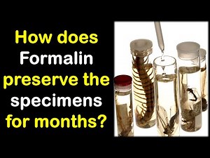 How does Formalin preserve the Biological Specimens? | Hindi | Dr. Priyank Singhvi