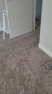 313K views · 28K reactions | This cat thinks it's a dog  | Metro | Facebook