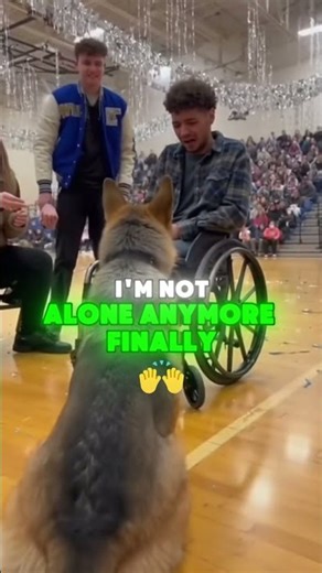 Dogs choose their humans...The Man Who Had Nothing Was Finally Chosen.