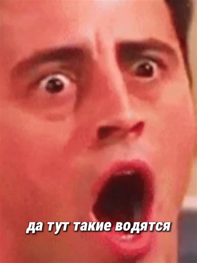 Лучший напарник в Скайрим или отрывок из СЛЕЗЫ НЬЮФАГА: Скайрим в 2026 году! https://youtu.be/kBWy3JwuZhY?si=L6WTRJtjMHSqgp6s #скайрим #skyrim #игры #игра #эльфийка