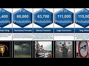 Death Probability Comparison