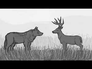 How - RDR2 animatic