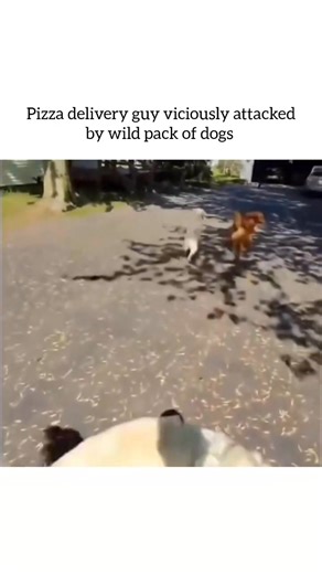 Zoey on Instagram: "The Mirror That Doesn’t Wait 🪞👁️ You ever catch your reflection doing something just a little sus? Like you move your head, but it feels like your reflection moved a split-second before you. Most of us brush it off, but there are whole threads online about mirrors that don’t just reflect—they react. People claim they’ve stared too long at their own reflection and watched it blink out of sync, tilt its head the wrong way, or smile when their own face stayed still. Big uncann