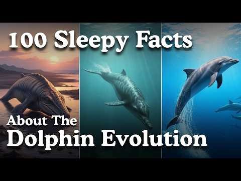 The Most Relaxing Facts About Dolphin Evolution to Fall Asleep To