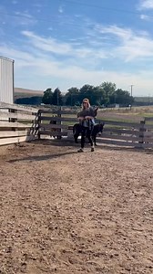 Making new friends is hard🫣#introvertproblems #babyminidonkey #donkey #microminidonkey #makingnewfriends | Double Donkey Ranch