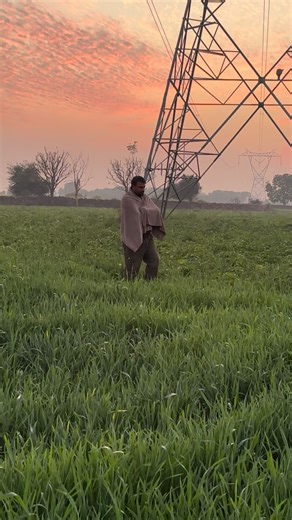 Yogendra Poswal on Instagram: "Khetibadi #rajasthan #village #reels #viral"