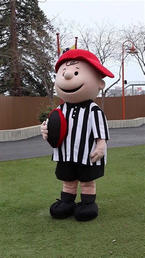 Snoopy Scores Winning Touchdown in Big Game