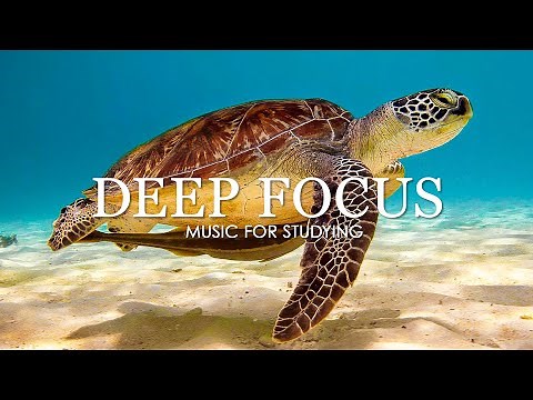 Deep Focus Music To Improve Concentration - 11 Hours of Ambient Study Music to Concentrate #5