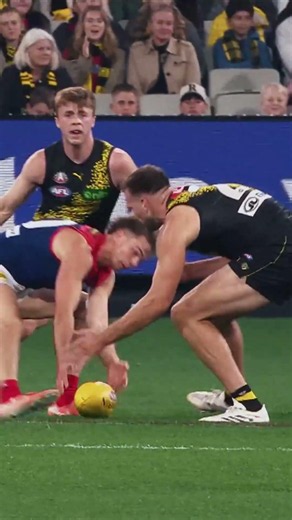 The Thunderous Bit | Victoria. Every Bit Different