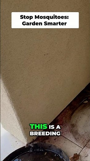 Stop Mosquitoes & Keep Your Patio Clean with the GreenStalk Ultimate Mover