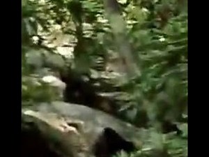 Invisible Predator In The Woods and Paranormal Intelligence Update